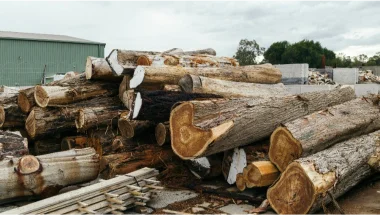 Sustainable Sourcing